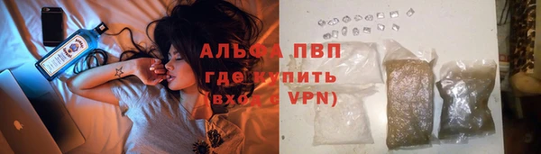 амф Аркадак
