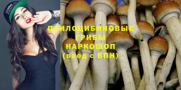 прущая мука Армянск