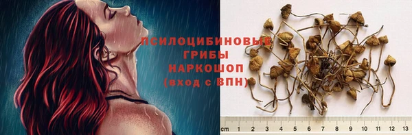 амф Аркадак